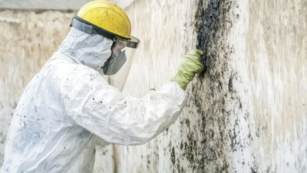 Worker in a hard hat, face shield and protective suit inspecting black mold on a wall