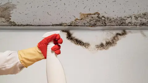 Gloved hand spraying cleaner at dark mold along a ceiling edge